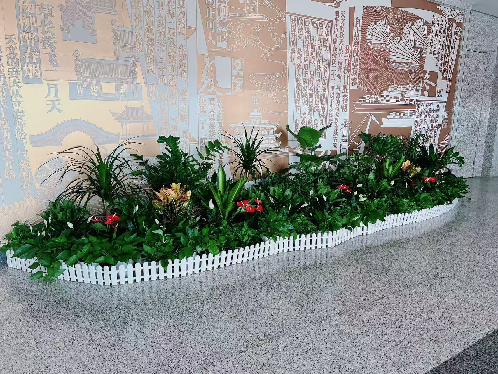 “热寻宁波江北绿植租摆公司，满足您的绿植租赁渴望验